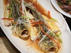 -前海沿·青岛菜(乐客城店)