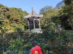 -广州市石门国家森林公园