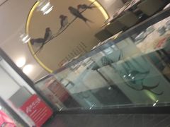 -周渝食惦·酸菜鱼精致川菜(横岗店)