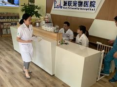 -派联宠物医院·24h·CT·异宠