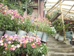-懒鱼时光馆(沙坪坝店)