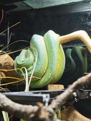 -Zoolung Zoolung动物主题公园(海信广场店)