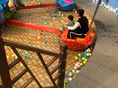 水帘洞-南宫五洲植物乐园