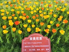 -北京友谊宾馆·俄罗斯餐厅
