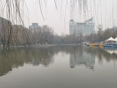 -莲湖公园