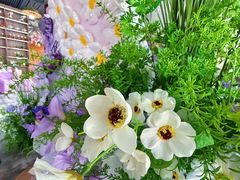 -元鼎宝驴香·全驴宴(江宁店)