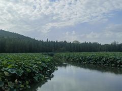 -云龙湖旅游景区