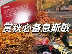 -黄兴公园