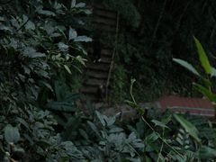 -东南悬空寺方广岩