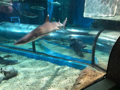 -福州罗源湾海洋世界旅游区