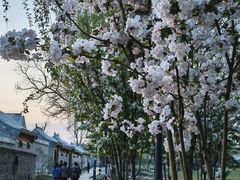 -三里河公园