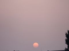 -曹州百花园