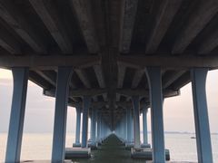 -宝安西湾红树林湿地公园