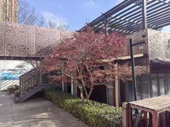 -陈家山荷花公园