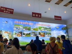 -长泰漂流水陆空景区