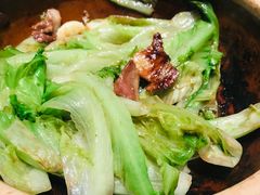 -大鸽饭(体育西路店)