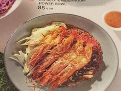 -Wagas沃歌斯(汇智店)