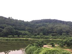 -南国桃园旅游度假区