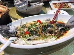 清蒸鲩鱼-五邑人家(江门店)