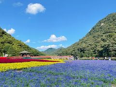 -广州市石门国家森林公园