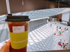-introlemons(北京西单更新场店)