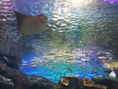 -华夏文旅海洋公园