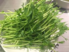 -夫妻肺片·中华老字号·正宗川菜(春熙路店)