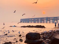 -星海湾跨海大桥
