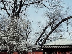 -潭柘寺景区