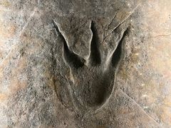 -湖南省地质博物馆