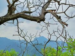 -秦岭风景区