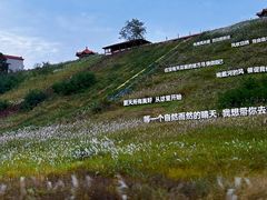 -南戴河国际娱乐中心