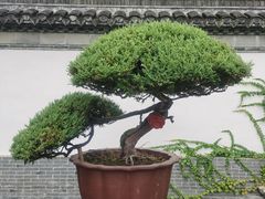 -水绘园