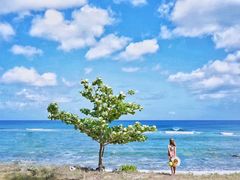 -蓝湾海滩