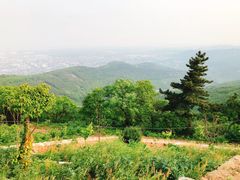 景点-雨花胜境