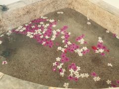 波塞冬SPA/帝王SPA-帝王SPA