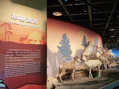 -陕西自然博物馆