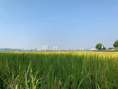 -光明小镇欢乐田园