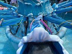 -珠海长隆海洋王国