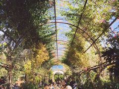 -The Grounds of Alexandria