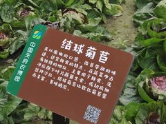 -中国天府农业博览园