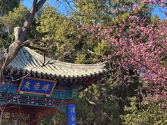 -泰山风景名胜区-虎山公园