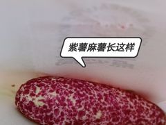 -墨茉点心局(国金街店)