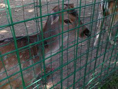 -西安秦岭野生动物园