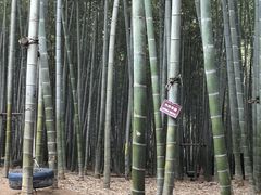 -陶祖圣境风景区