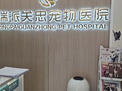 -瑞派·关忠动物医院·猫专科·犬专科(三环新城店)