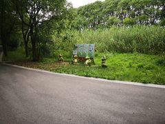 -同里国家湿地公园
