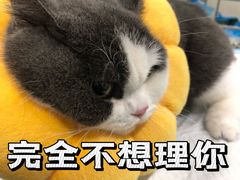 -荔康动物医院(康王北路店)