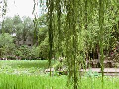 -莲湖公园