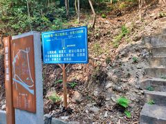 -滴水岩森林公园